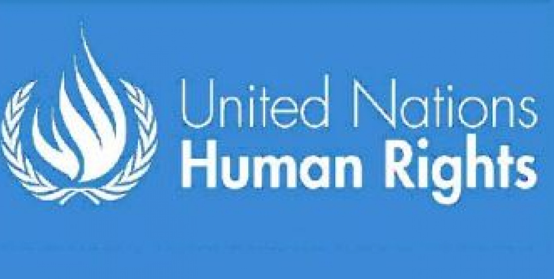 Derechos Humanos Naciones Unidas