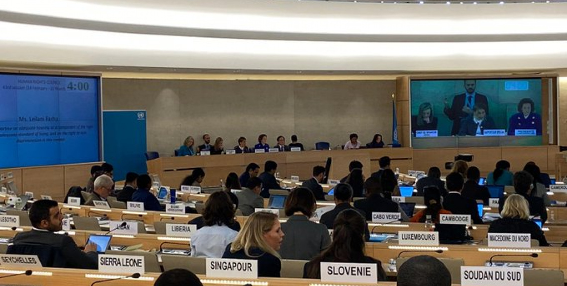 View of the Human Rights Council.
