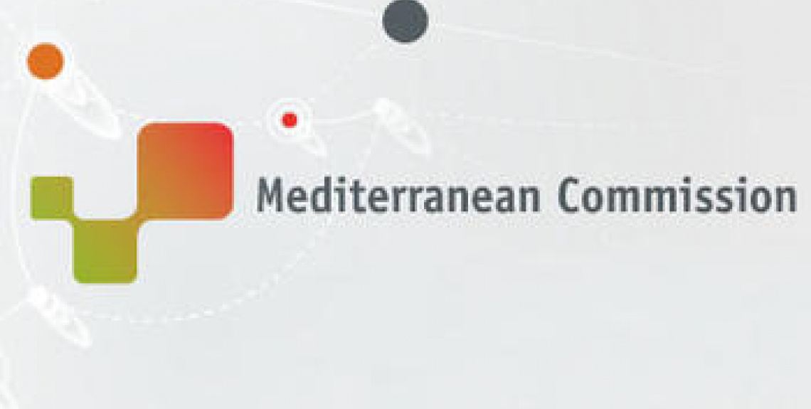 Commission Méditerranée de CGLU