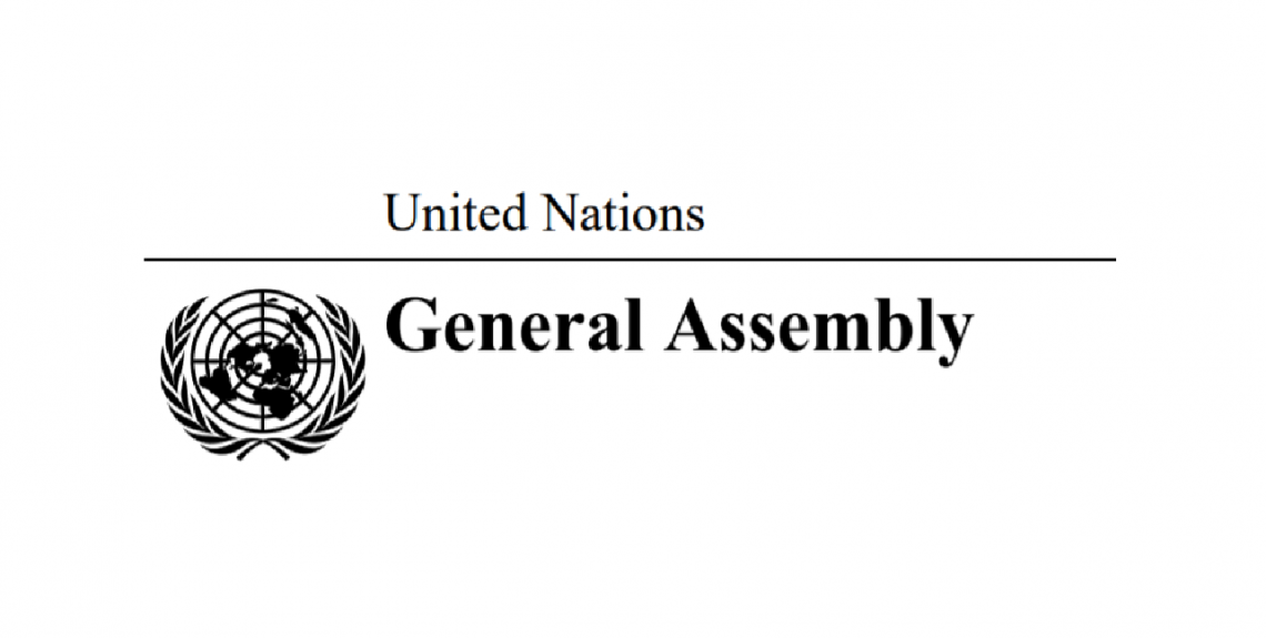 UN General Assembly