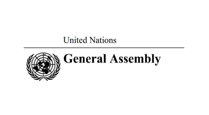 UN General Assembly