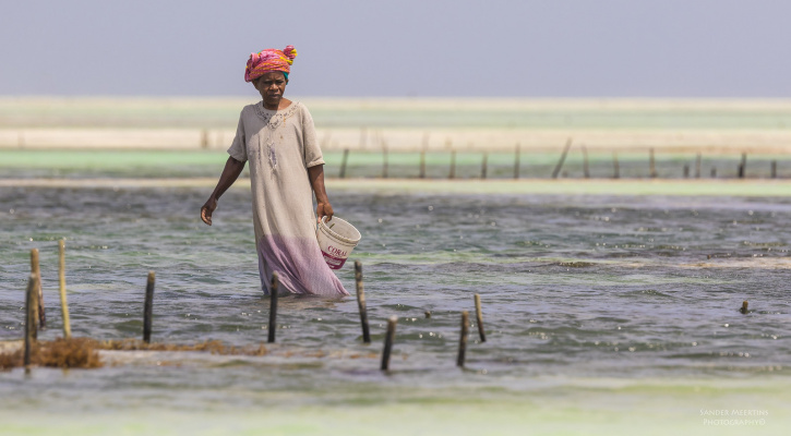 Zanzibar Women (Explore), Sander Meertins @Flickr 