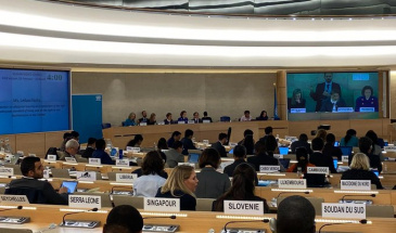 La Relatora Especial Leilani Farha presenta una propuesta de Directrices de la ONU para la Aplicación del Derecho a la Vivienda 