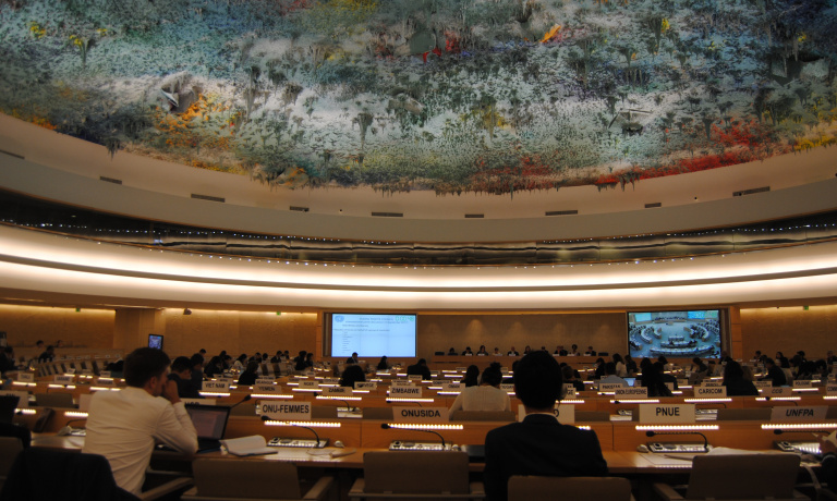 A global call to implement housing strategies from a human rights perspective: The UN Special Rapporteur on adequate housing publishes her annual report