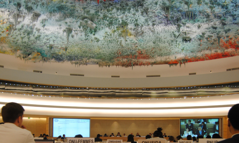 View of the Human Rights Council.