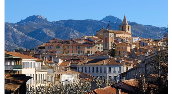 Local Strategy for Free Public Transport