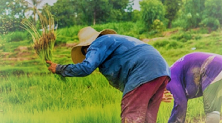 Implementing the Sufficiency Economy Philosophy at the Local Level