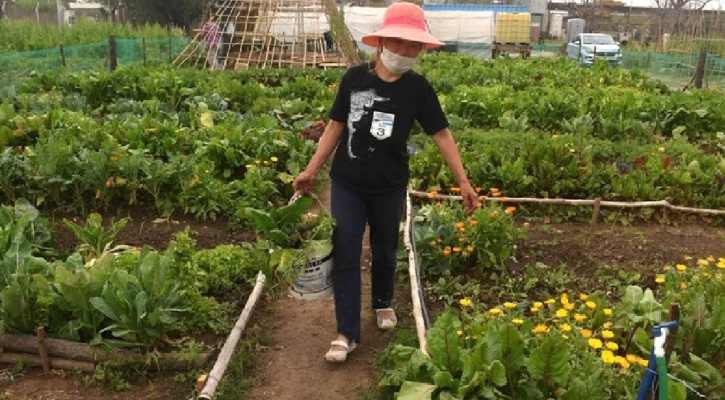 Rosario's Urban Agriculture Policy