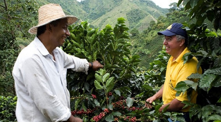 The Coffee Trail Initiative