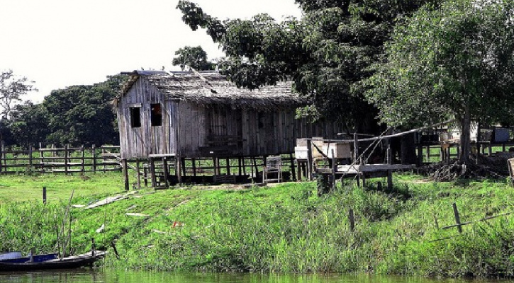 Redistributing Resources and Land Use in the Lower Amazon Floodplain 