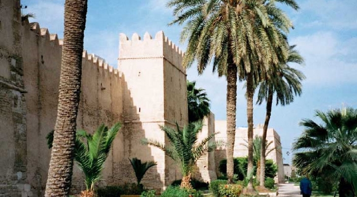 The transformation of social inclusion policies in 2020: Sfax